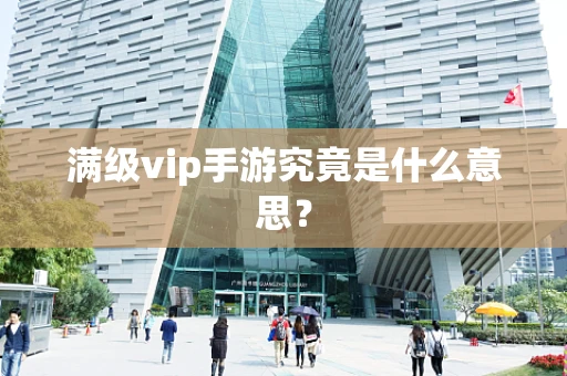 满级vip手游究竟是什么意思？